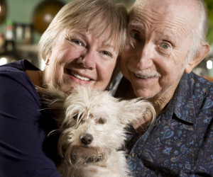 The Truth About Pet Stores